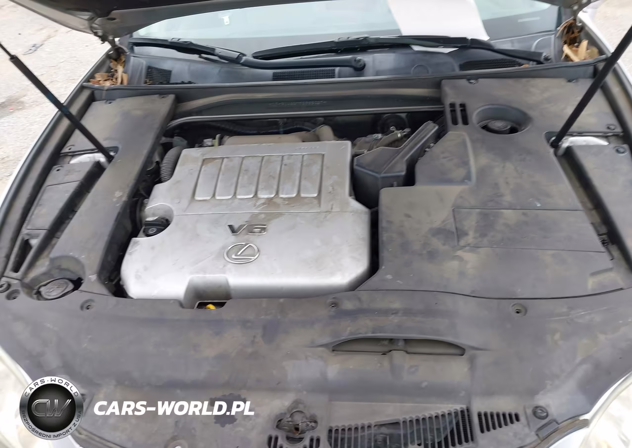 2009 Lexus Es 350 VIN:JTHBJ46G792338027 - 10