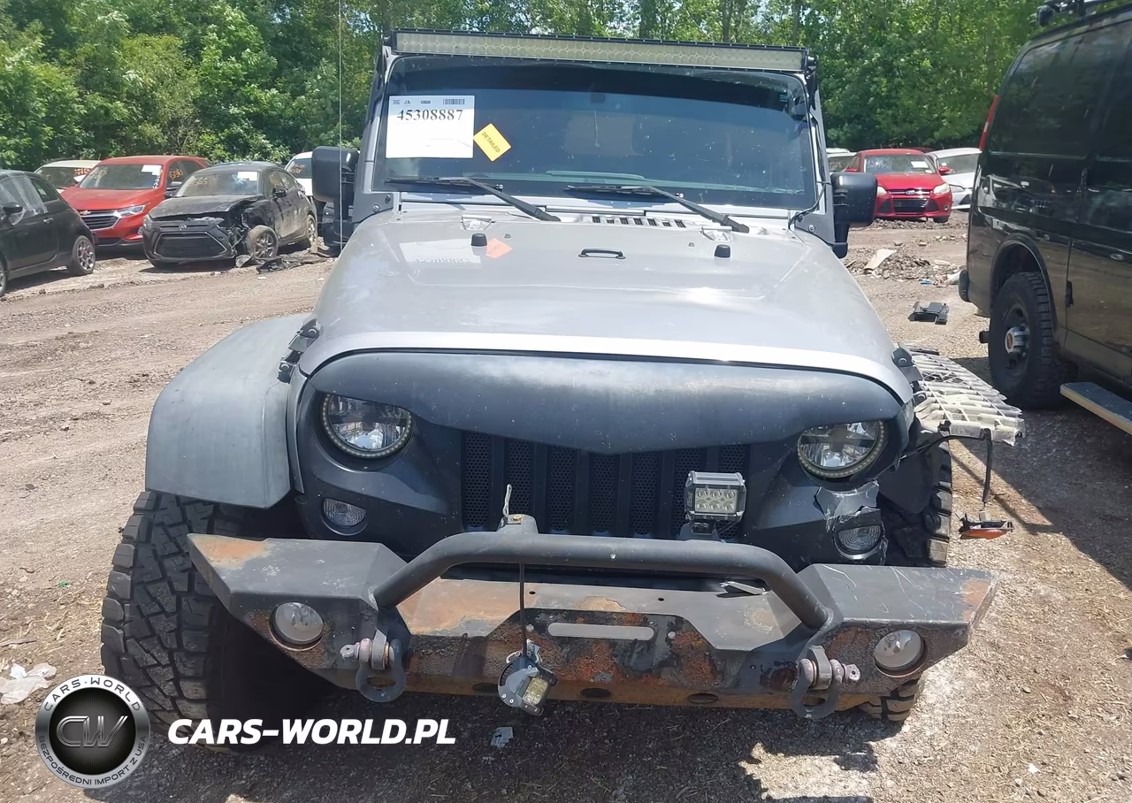 2016 Jeep Wrangler Unlimited Black Bear VIN:1C4BJWDGXGL138217 - 13