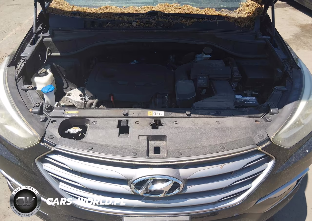2017 Hyundai Santa Fe Sport 2.4L VIN:5NMZU3LB0HH009531 - 10