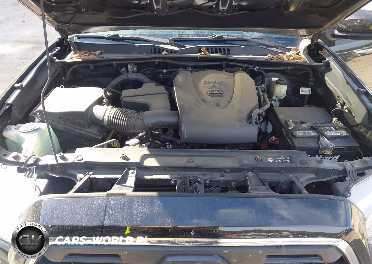 2016 Toyota Tacoma Sr5 V6 VIN:5TFAZ5CN3GX003975 - 10