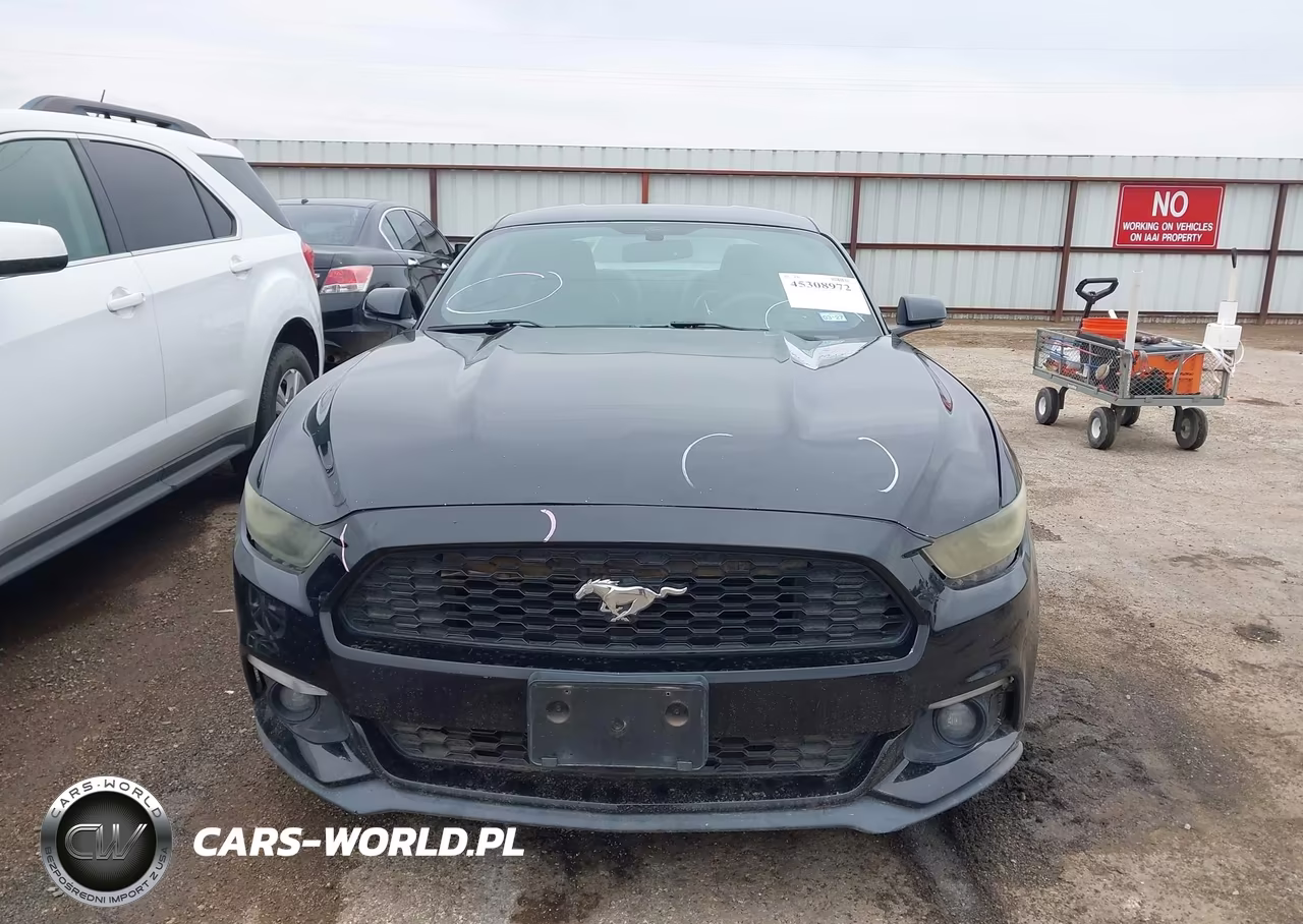 2015 Ford Mustang Ecoboost VIN:1FA6P8TH5F5350036 - 12