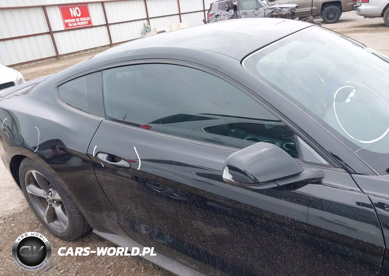 2015 Ford Mustang Ecoboost VIN:1FA6P8TH5F5350036 - 13