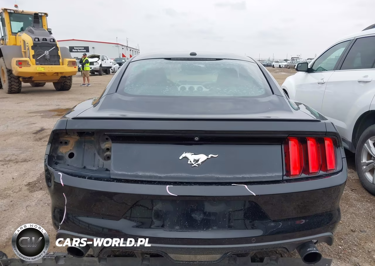 2015 Ford Mustang Ecoboost VIN:1FA6P8TH5F5350036 - 16