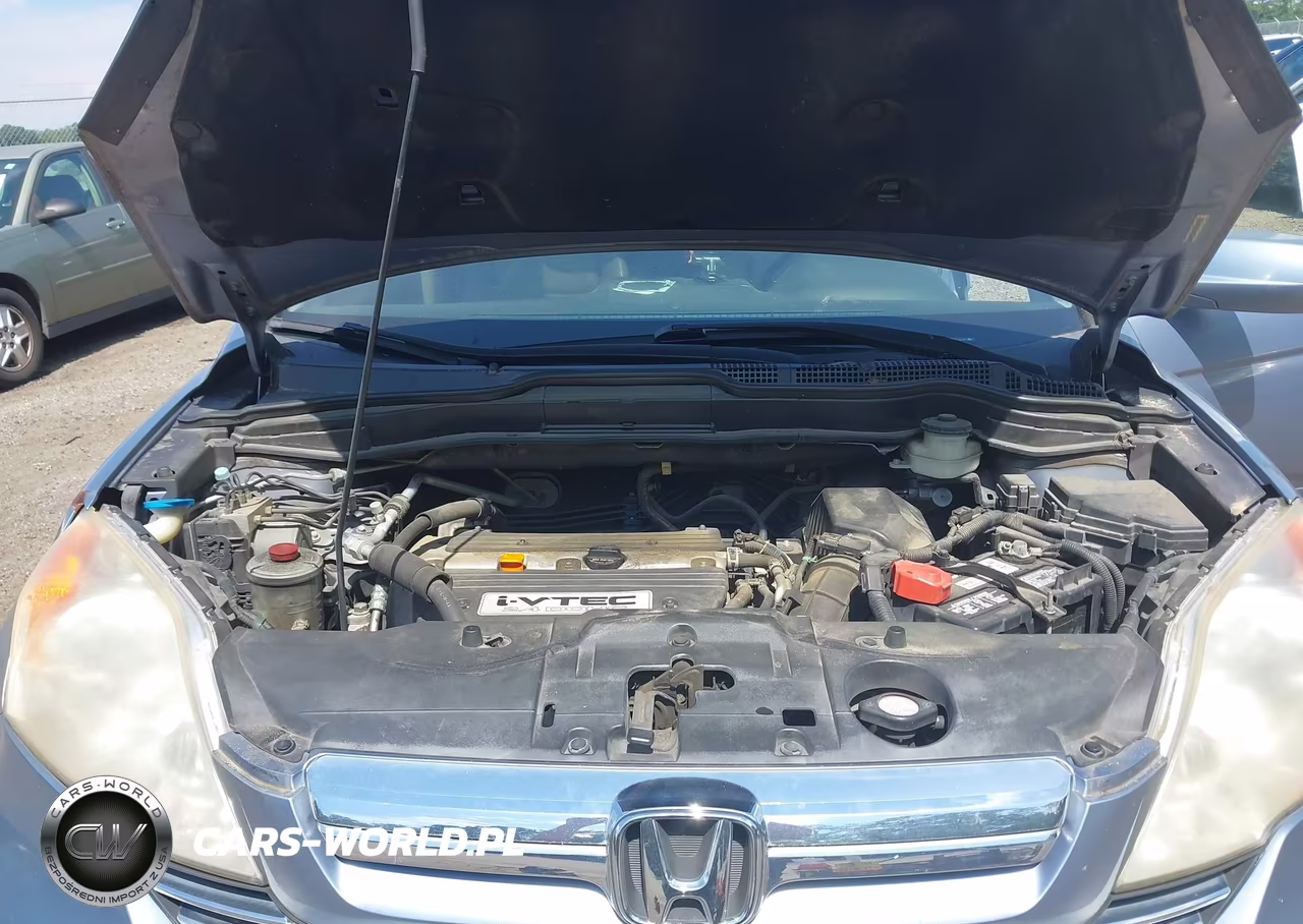 2007 Honda Cr-V Ex-L VIN:JHLRE38767C027100 - 10