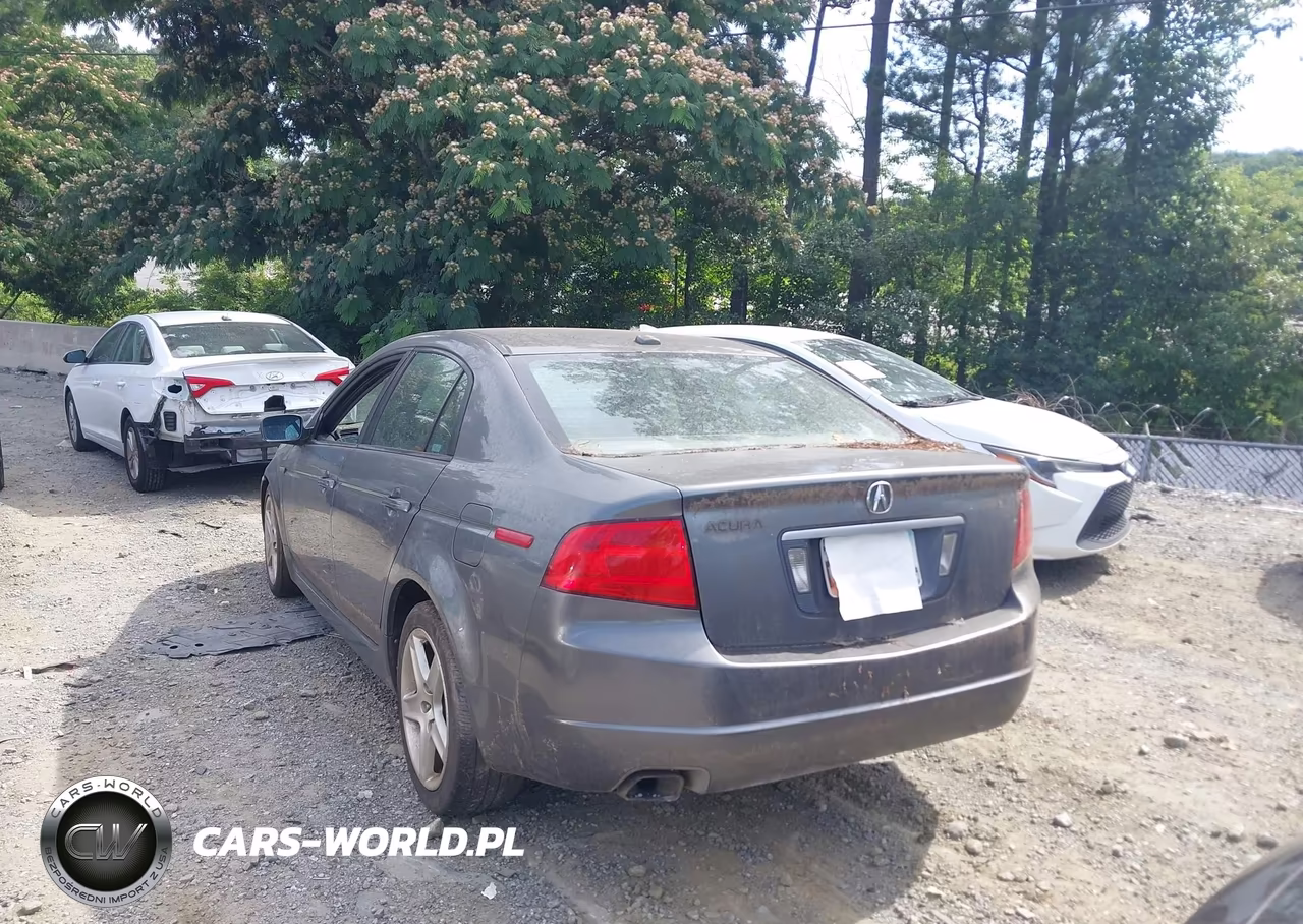 2005 Acura Tl VIN:19UUA66245A033161 - 3