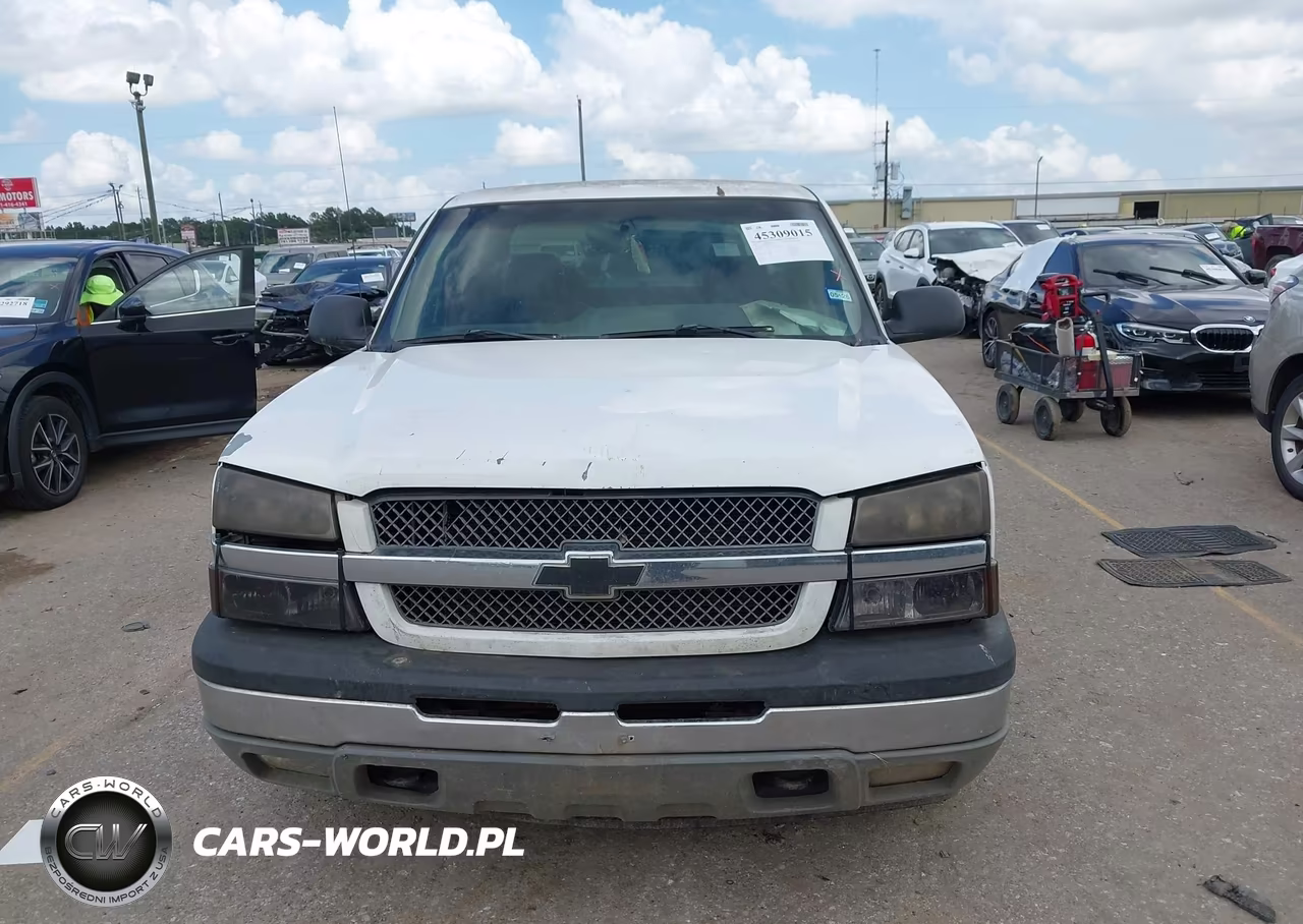 2005 Chevrolet Silverado 1500 Work Truck VIN:1GCEC19X75Z165033 - 11