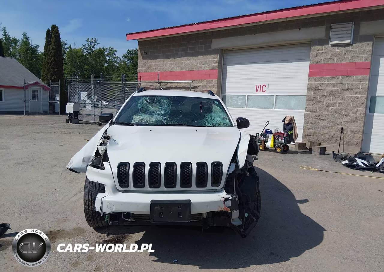 2017 Jeep Cherokee Altitude 4X4 VIN:1C4PJMAS2HW576197 - 12