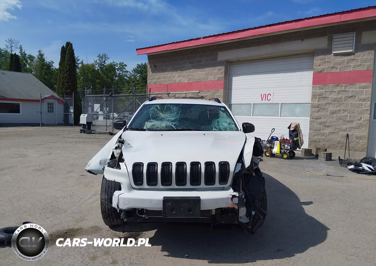 2017 Jeep Cherokee Altitude 4X4 VIN:1C4PJMAS2HW576197 - 6
