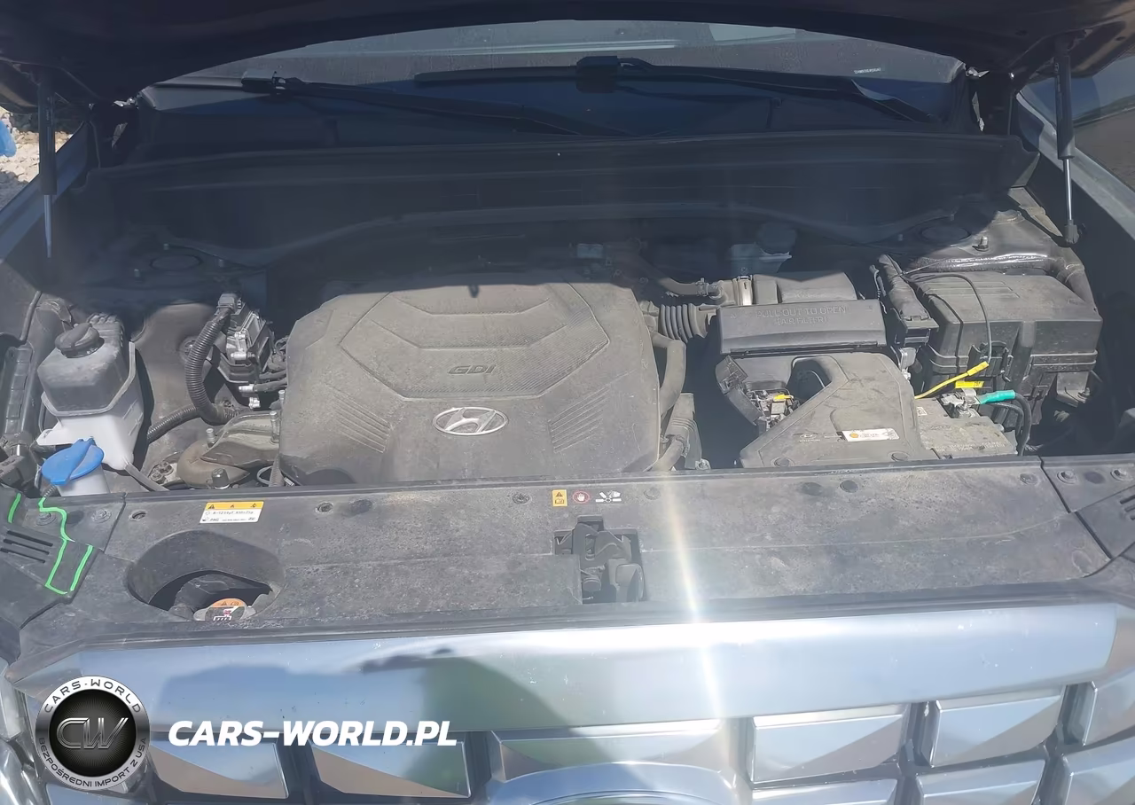 2023 Hyundai Palisade Calligraphy VIN:KM8R7DGE4PU582467 - 10