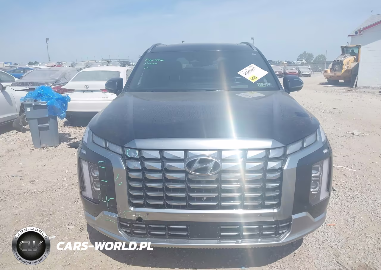 2023 Hyundai Palisade Calligraphy VIN:KM8R7DGE4PU582467 - 12