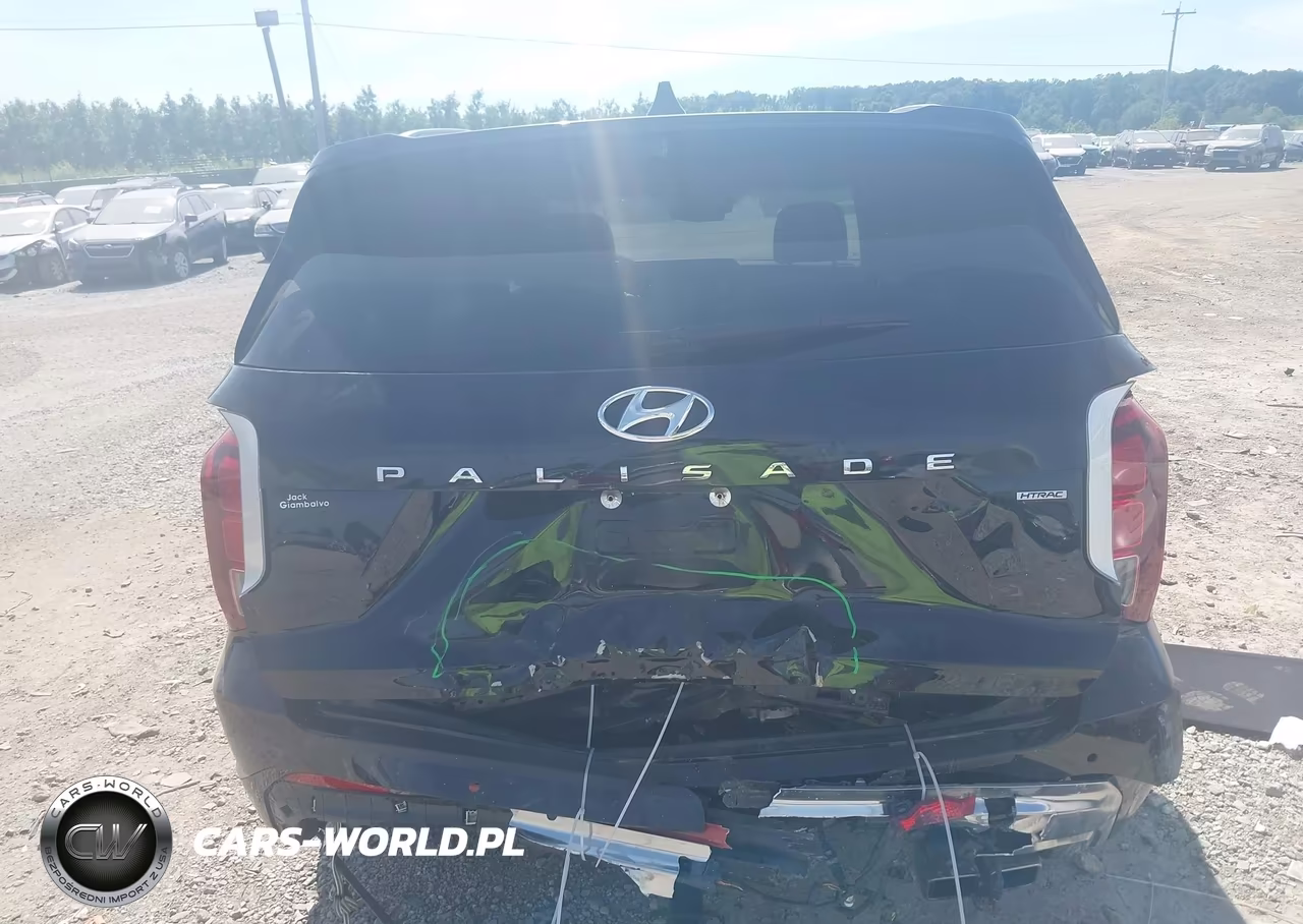 2023 Hyundai Palisade Calligraphy VIN:KM8R7DGE4PU582467 - 16