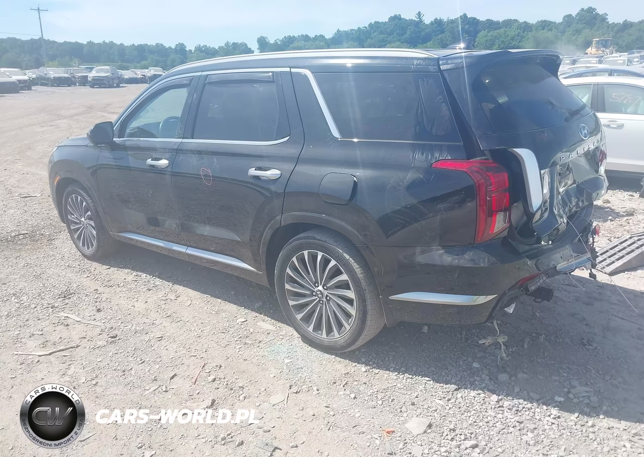 2023 Hyundai Palisade Calligraphy VIN:KM8R7DGE4PU582467 - 3