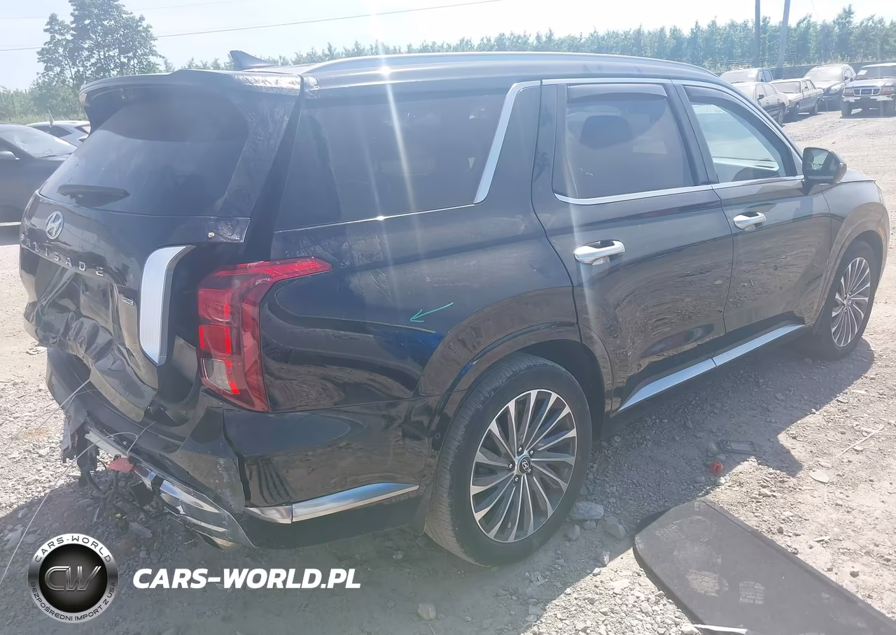 2023 Hyundai Palisade Calligraphy VIN:KM8R7DGE4PU582467 - 4