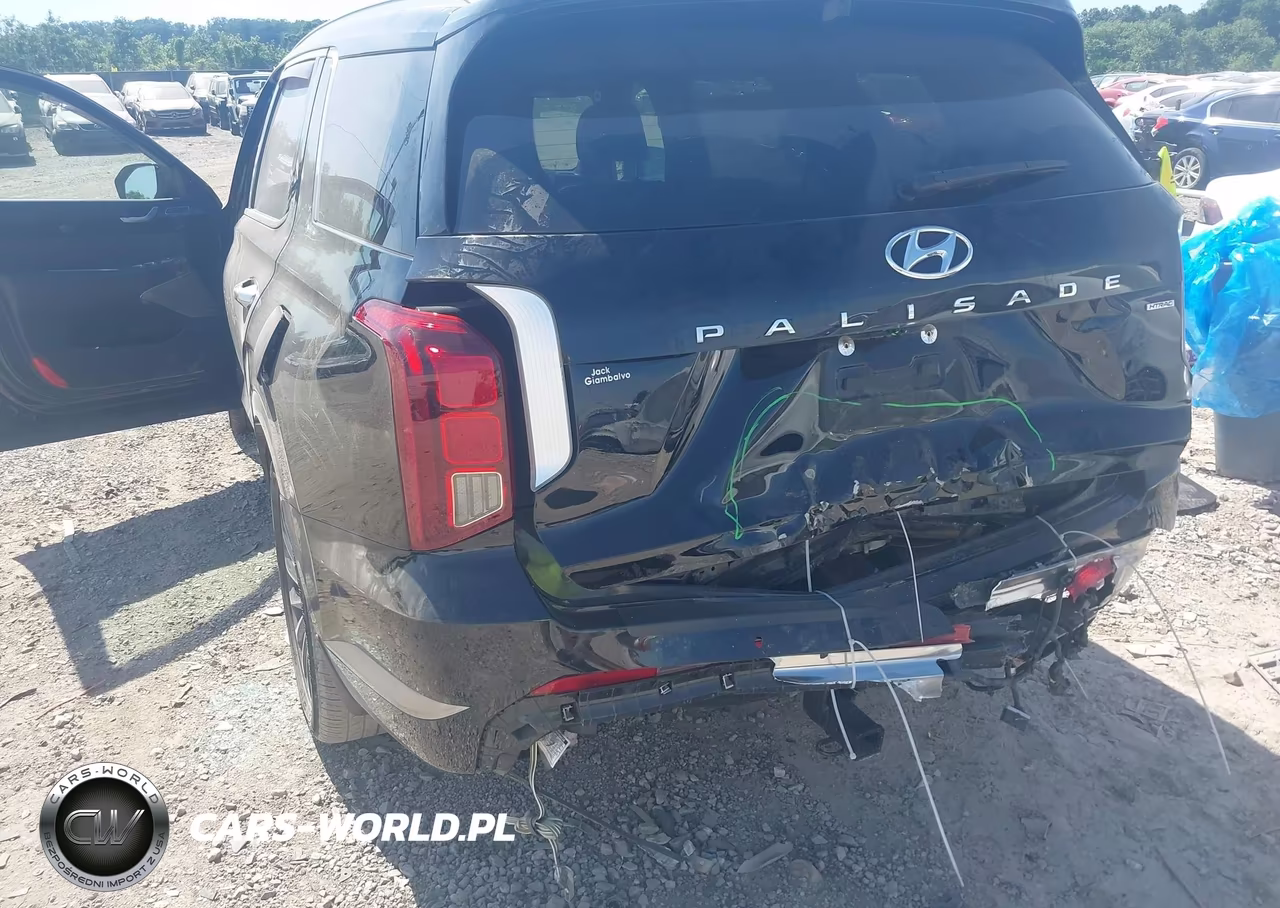 2023 Hyundai Palisade Calligraphy VIN:KM8R7DGE4PU582467 - 6