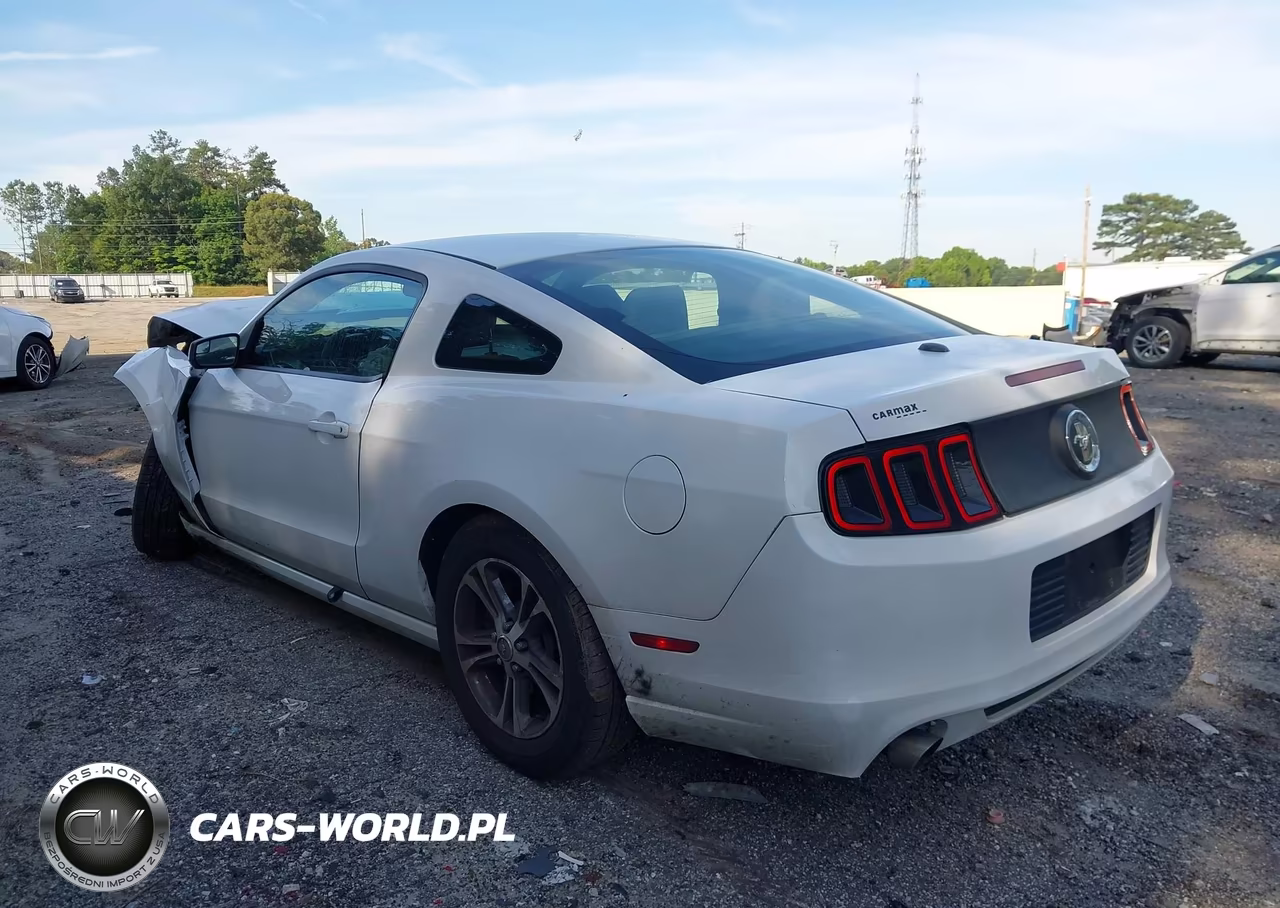 2014 Ford Mustang V6 Premium VIN:1ZVBP8AM2E5292116 - 3