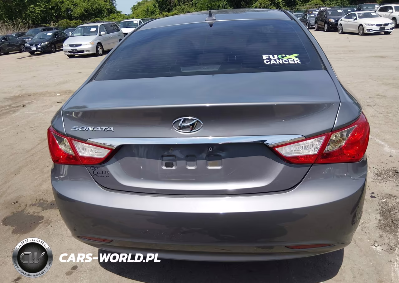 2013 Hyundai Sonata Gls VIN:5NPEB4AC9DH764373 - 17