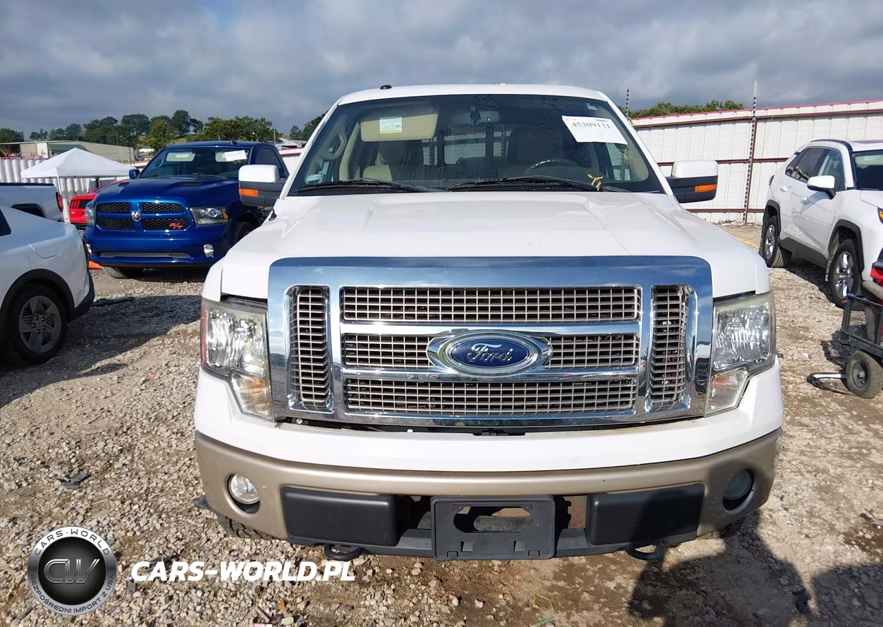 2010 Ford F-150 Fx4-Harley-Davidson-King Ranch-Lariat-Platinum-Xl-Xlt VIN:1FTFW1EV4AKB45860 - 12