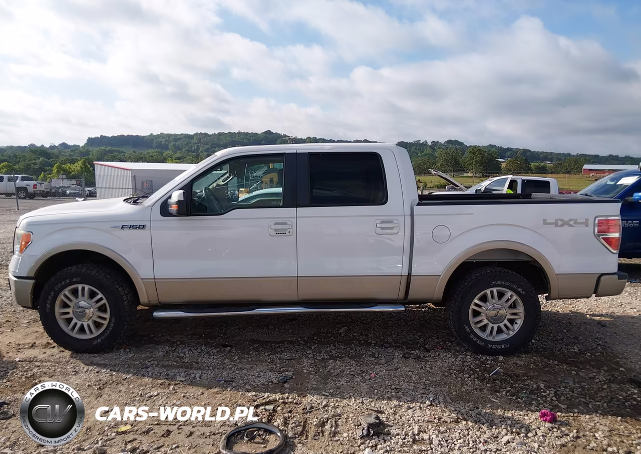 2010 Ford F-150 Fx4-Harley-Davidson-King Ranch-Lariat-Platinum-Xl-Xlt VIN:1FTFW1EV4AKB45860 - 14