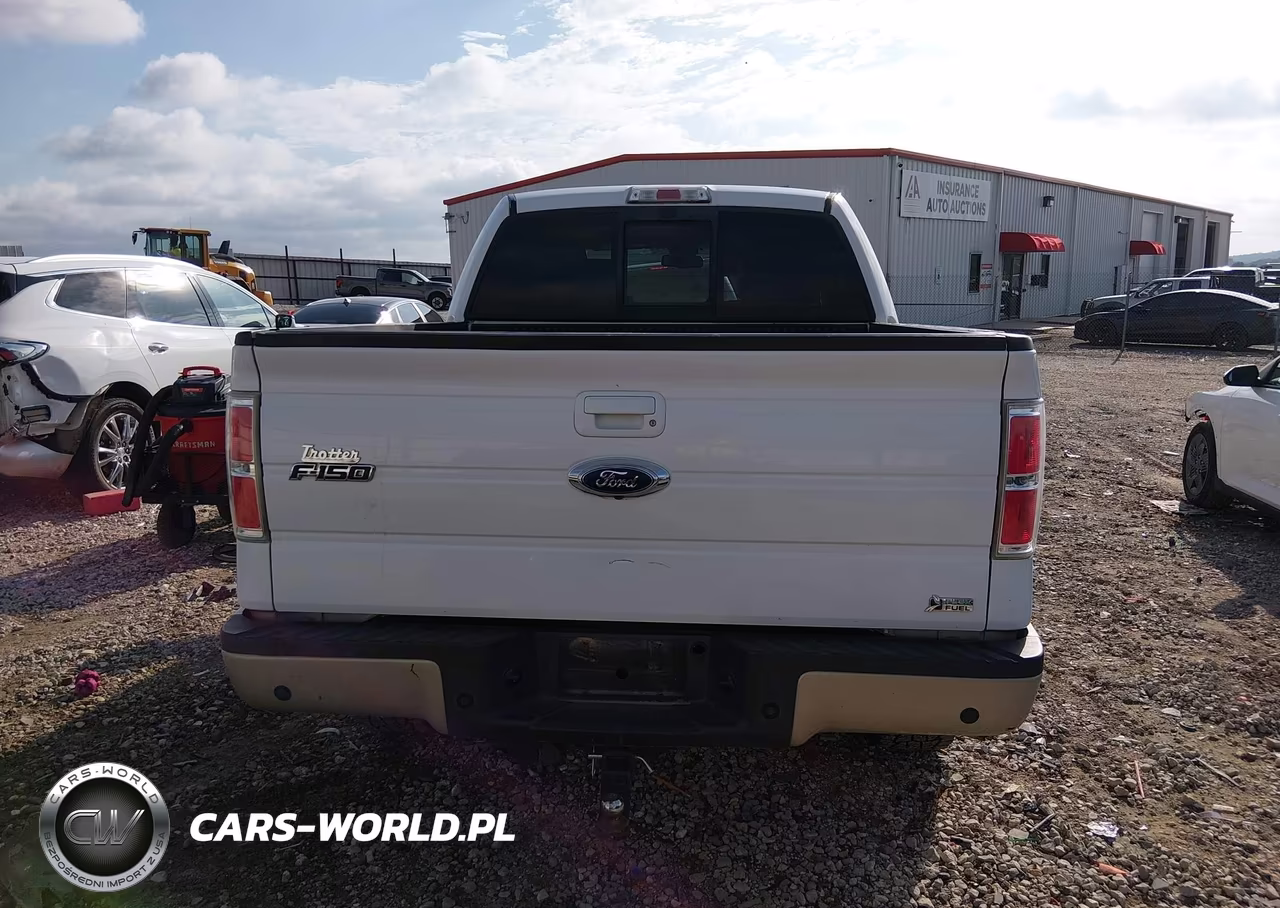 2010 Ford F-150 Fx4-Harley-Davidson-King Ranch-Lariat-Platinum-Xl-Xlt VIN:1FTFW1EV4AKB45860 - 16