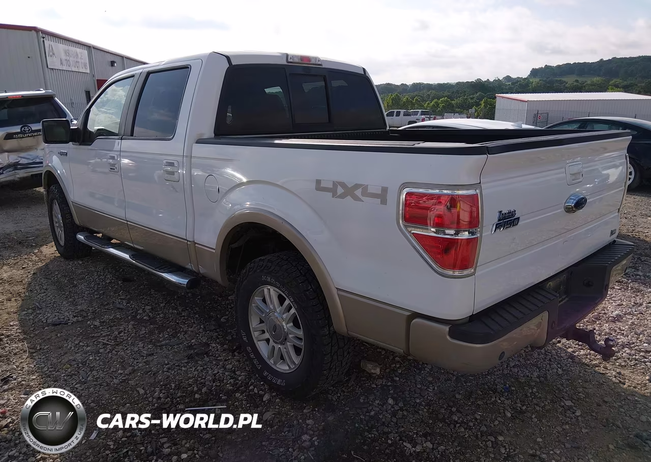 2010 Ford F-150 Fx4-Harley-Davidson-King Ranch-Lariat-Platinum-Xl-Xlt VIN:1FTFW1EV4AKB45860 - 3