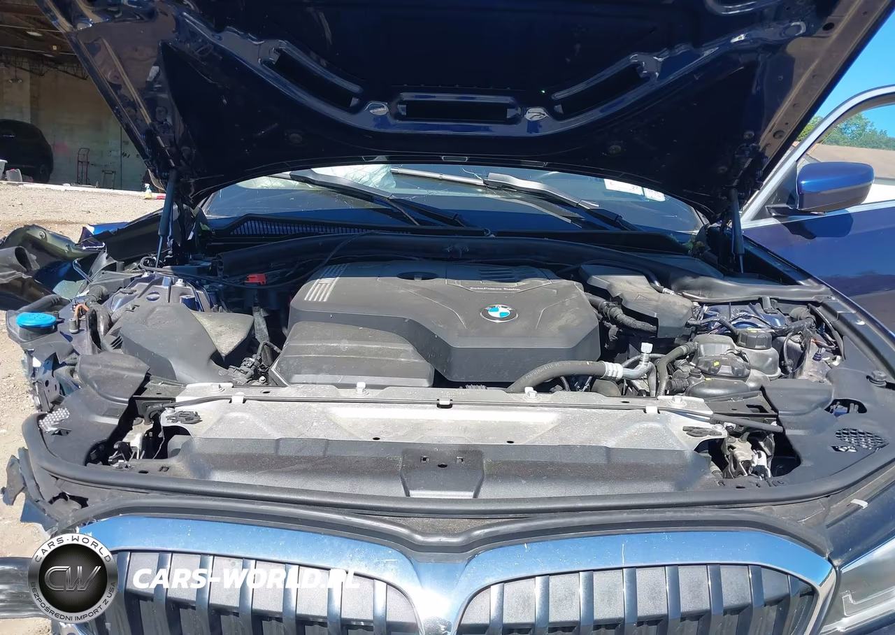 2019 BMW 330I xDrive VIN:WBA5R7C53KFH12028 - 10