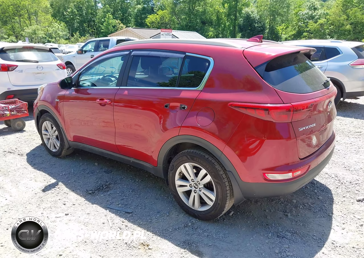 2017 Kia Sportage Lx VIN:KNDPMCAC1H7169394 - 3
