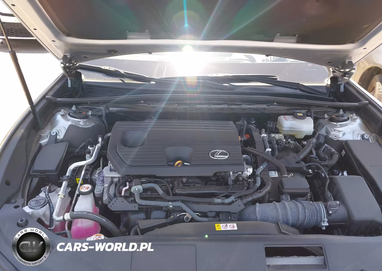 2022 Lexus Es 300H Ultra Luxury VIN:58AFA1C19NU022715 - 10