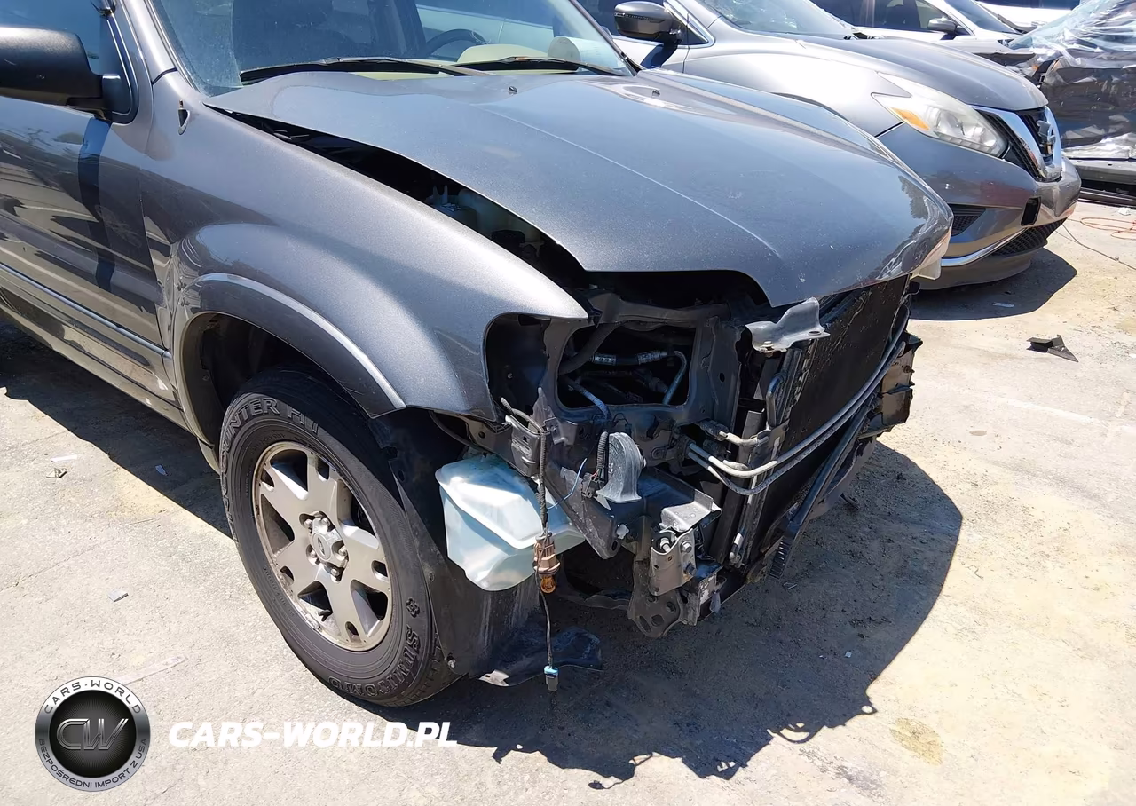 2003 Ford Escape Limited VIN:1FMCU94143KE19756 - 18