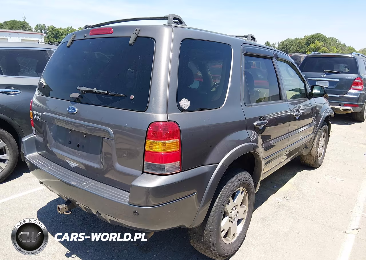 2003 Ford Escape Limited VIN:1FMCU94143KE19756 - 4