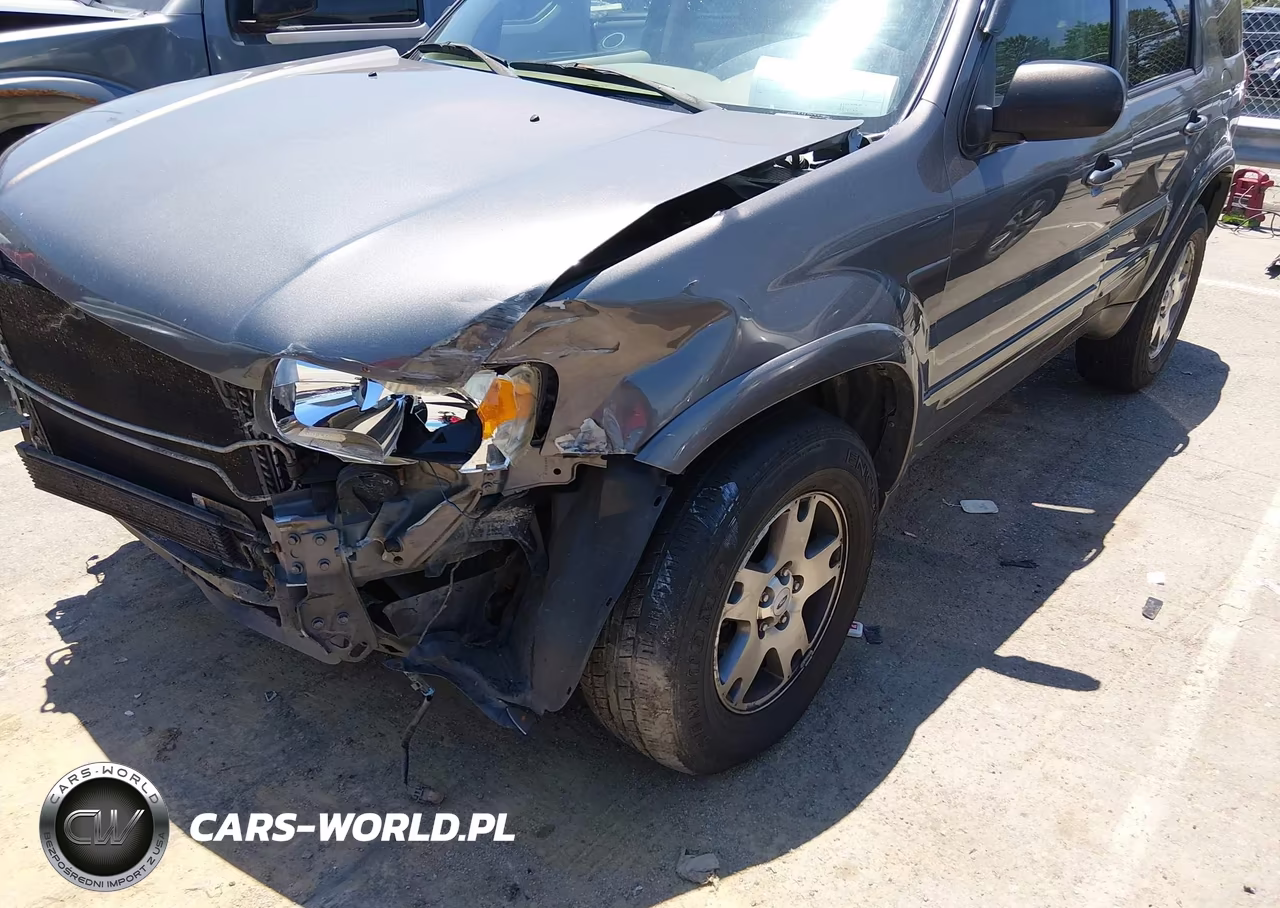 2003 Ford Escape Limited VIN:1FMCU94143KE19756 - 6