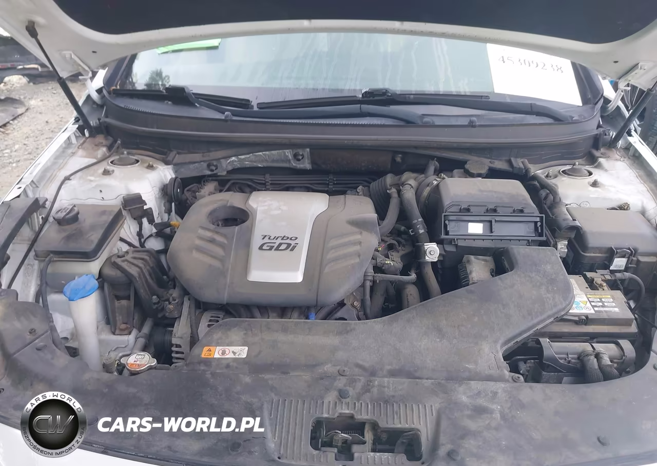 2016 Hyundai Sonata Eco VIN:5NPE24AAXGH423549 - 10