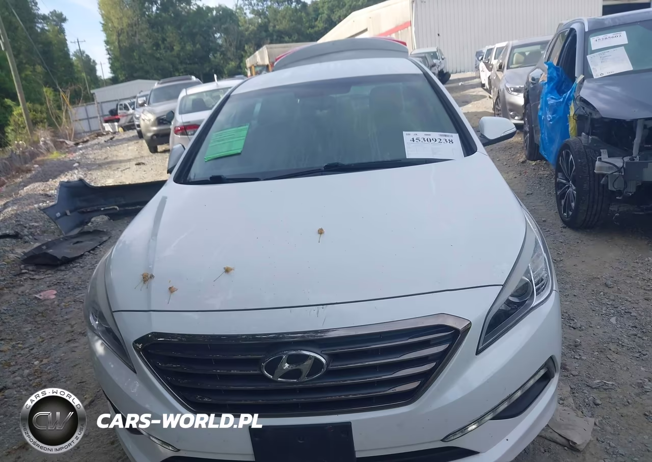 2016 Hyundai Sonata Eco VIN:5NPE24AAXGH423549 - 12