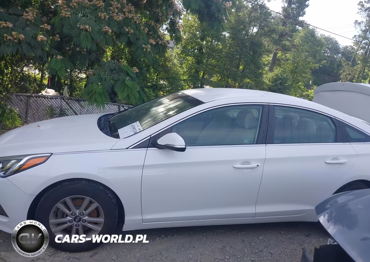 2016 Hyundai Sonata Eco VIN:5NPE24AAXGH423549 - 14