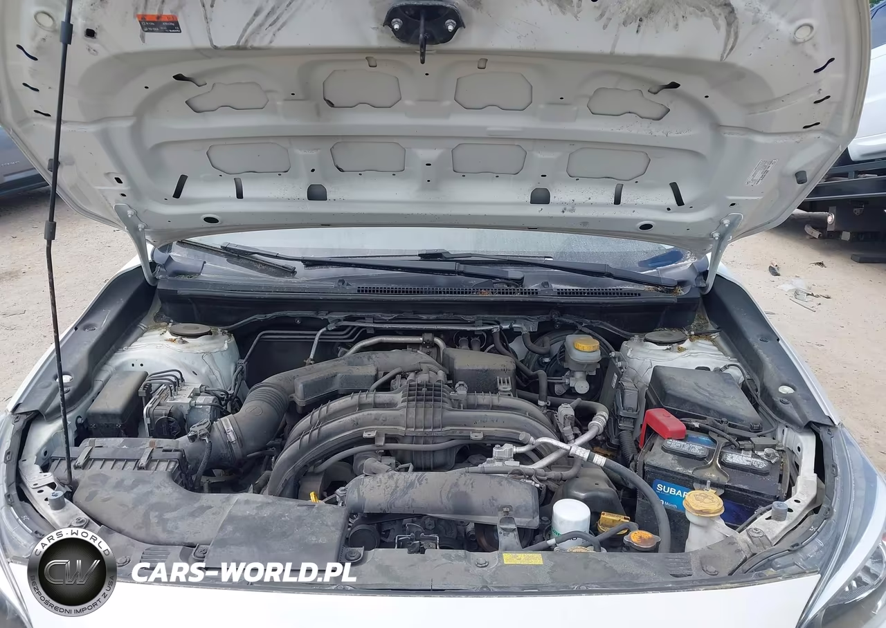 2019 Subaru Crosstrek 2.0I VIN:JF2GTABC3K8302407 - 10