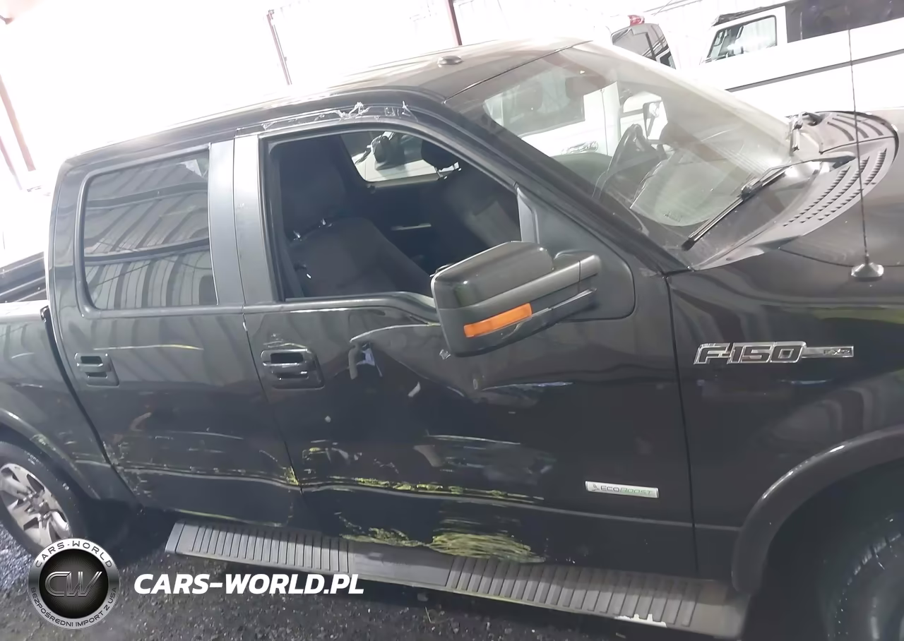 2013 Ford F-150 Fx2 VIN:1FTFW1CT7DFD08306 - 13