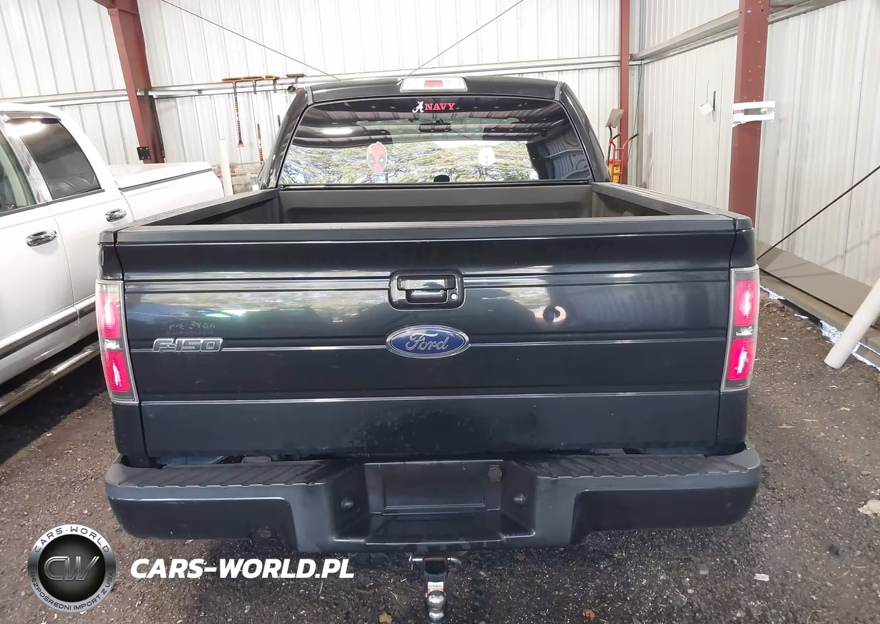 2013 Ford F-150 Fx2 VIN:1FTFW1CT7DFD08306 - 16