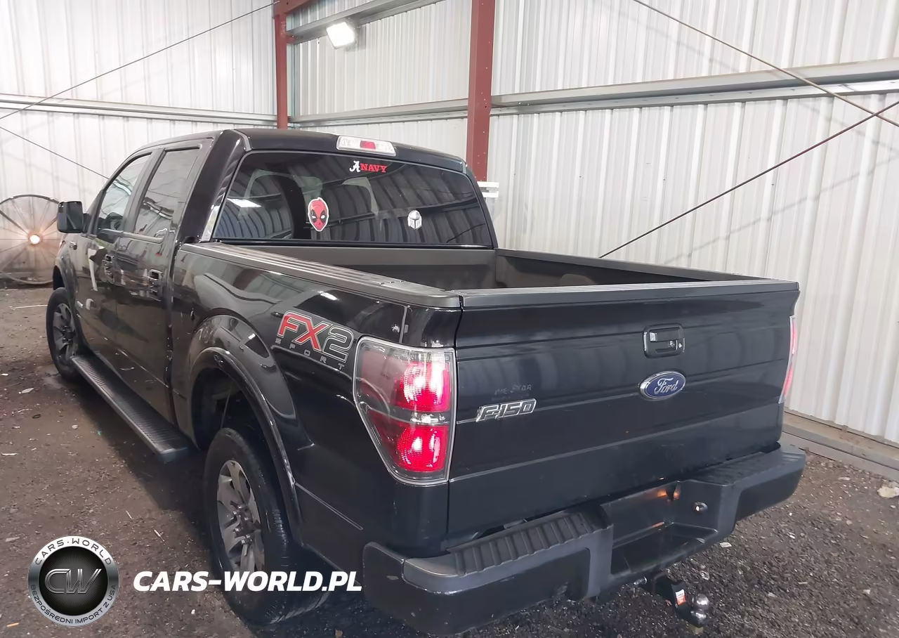 2013 Ford F-150 Fx2 VIN:1FTFW1CT7DFD08306 - 3