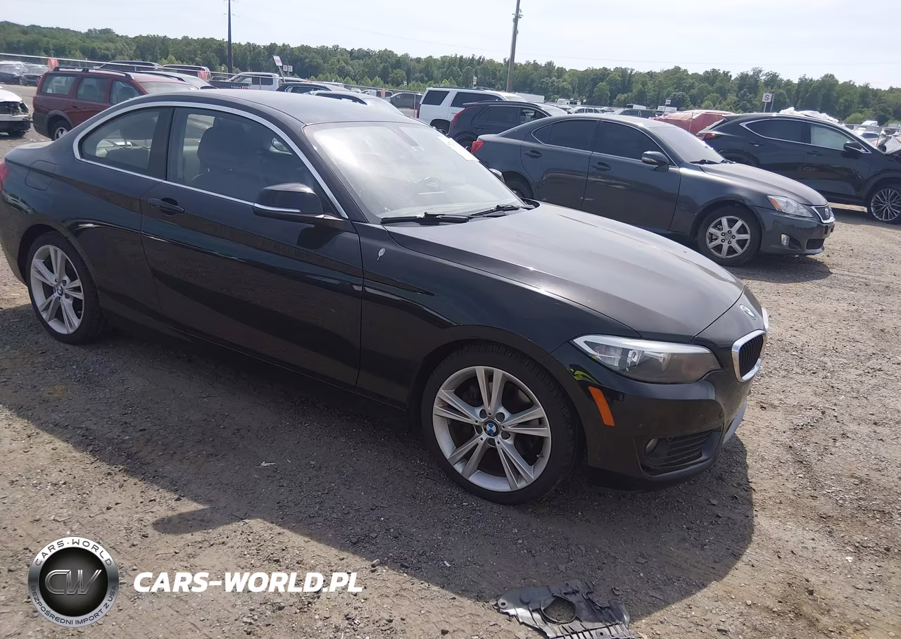 2015 BMW 228I