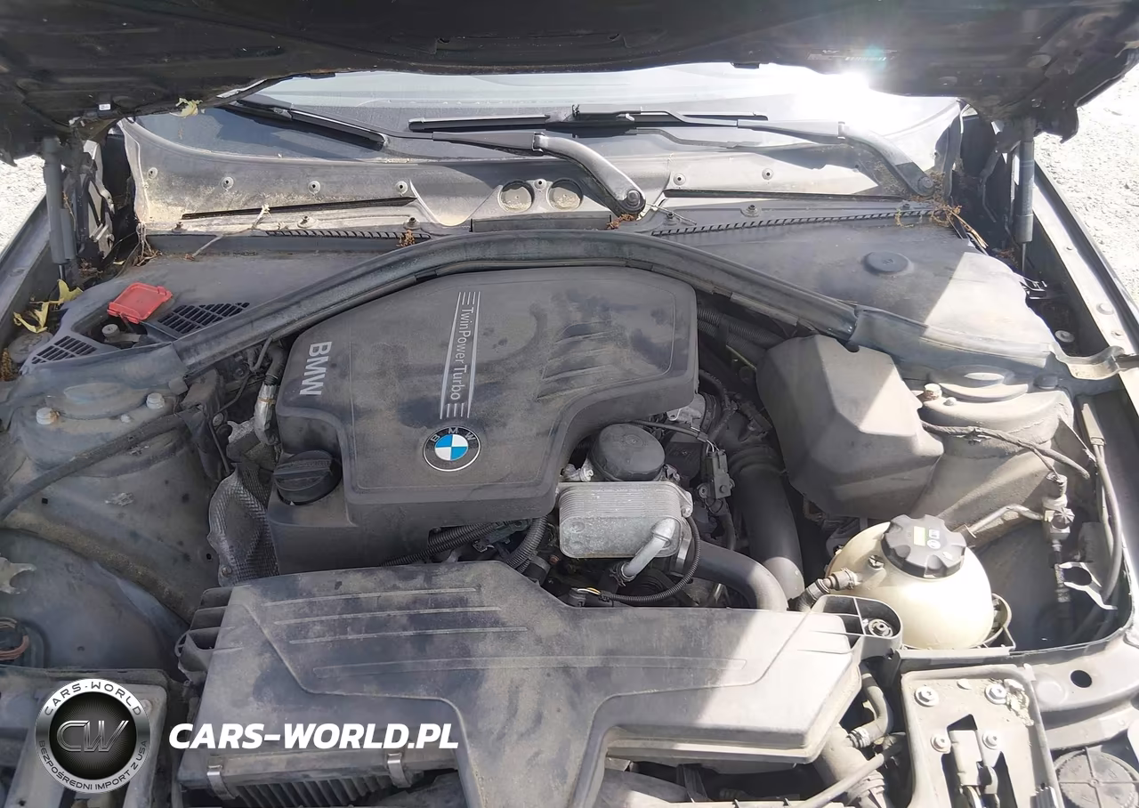 2015 BMW 228I VIN:WBA1F5C52FV257080 - 10