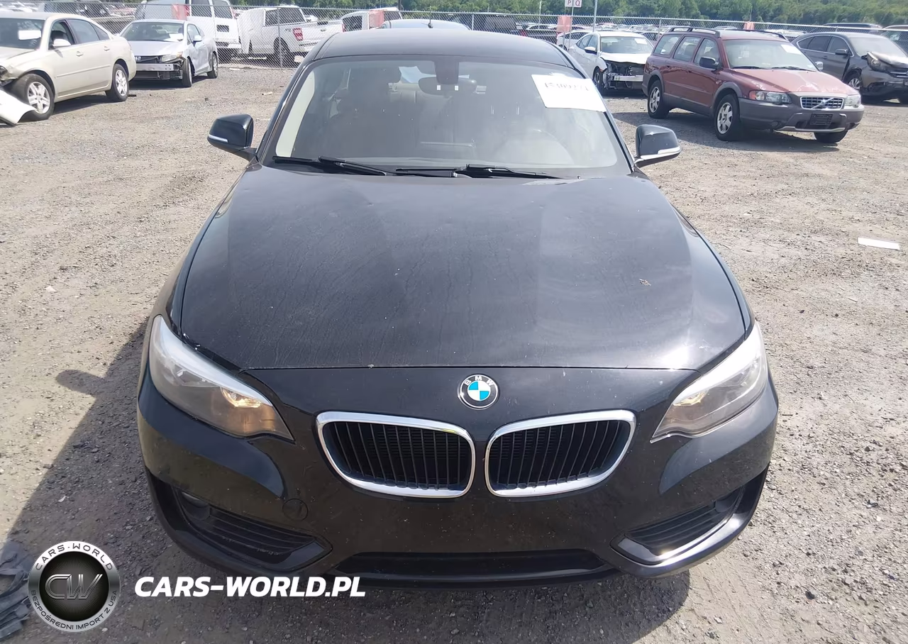 2015 BMW 228I VIN:WBA1F5C52FV257080 - 12