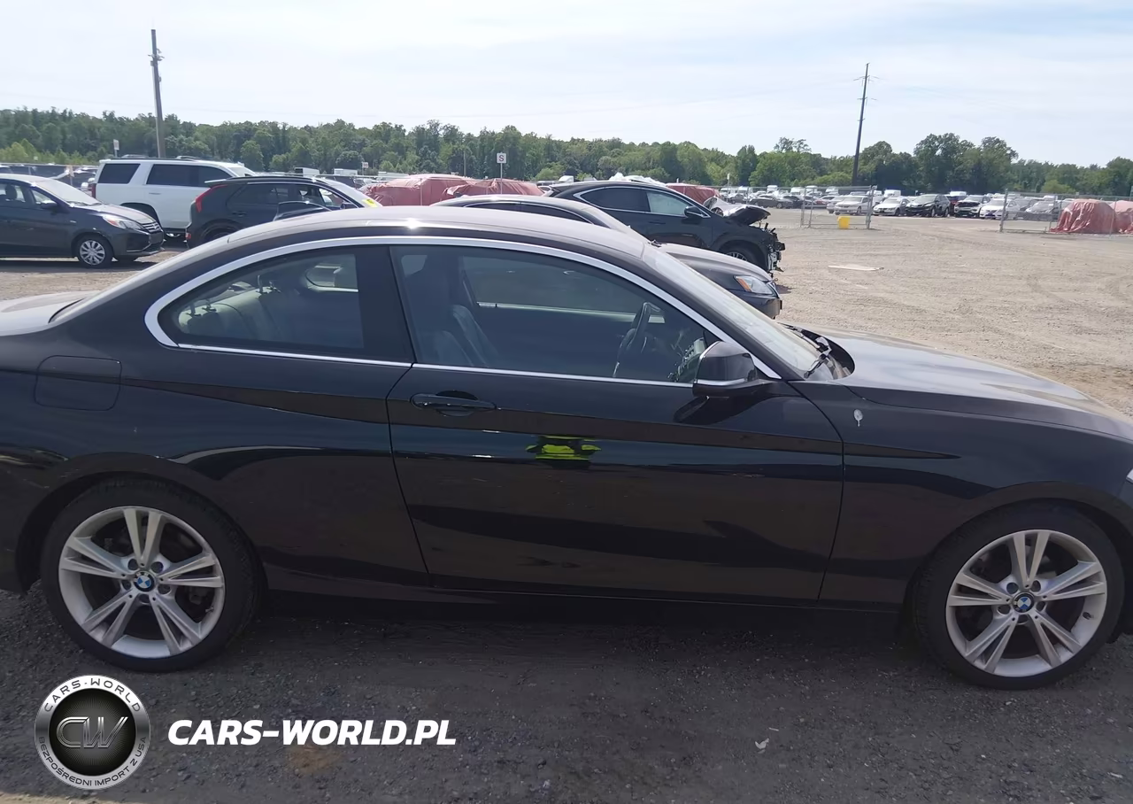 2015 BMW 228I VIN:WBA1F5C52FV257080 - 13