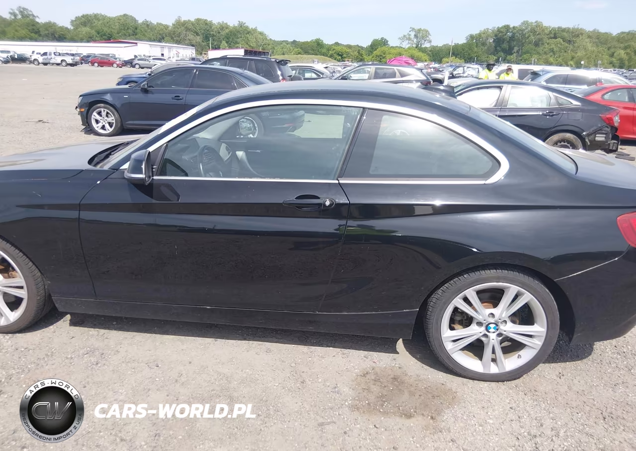2015 BMW 228I VIN:WBA1F5C52FV257080 - 14