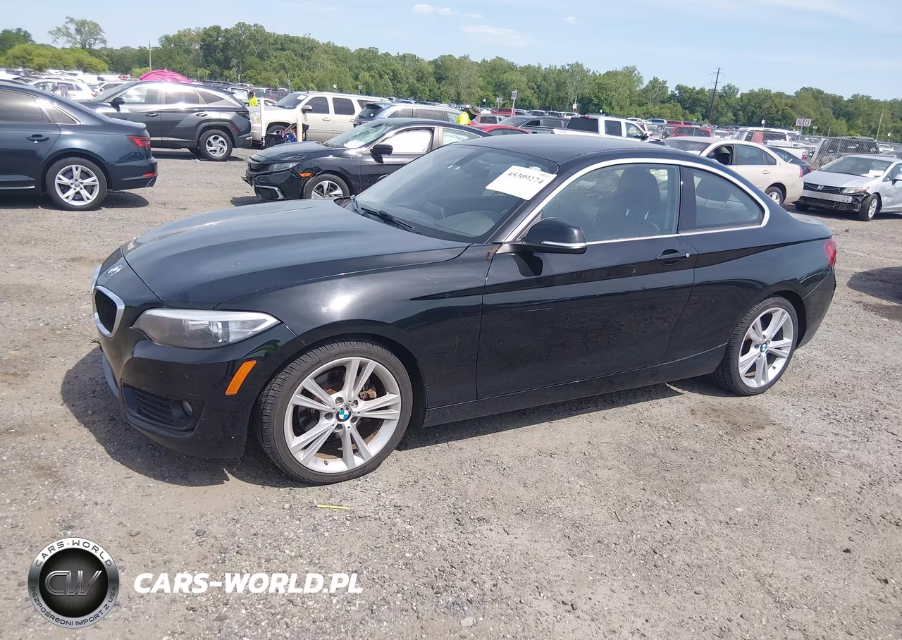 2015 BMW 228I VIN:WBA1F5C52FV257080 - 2