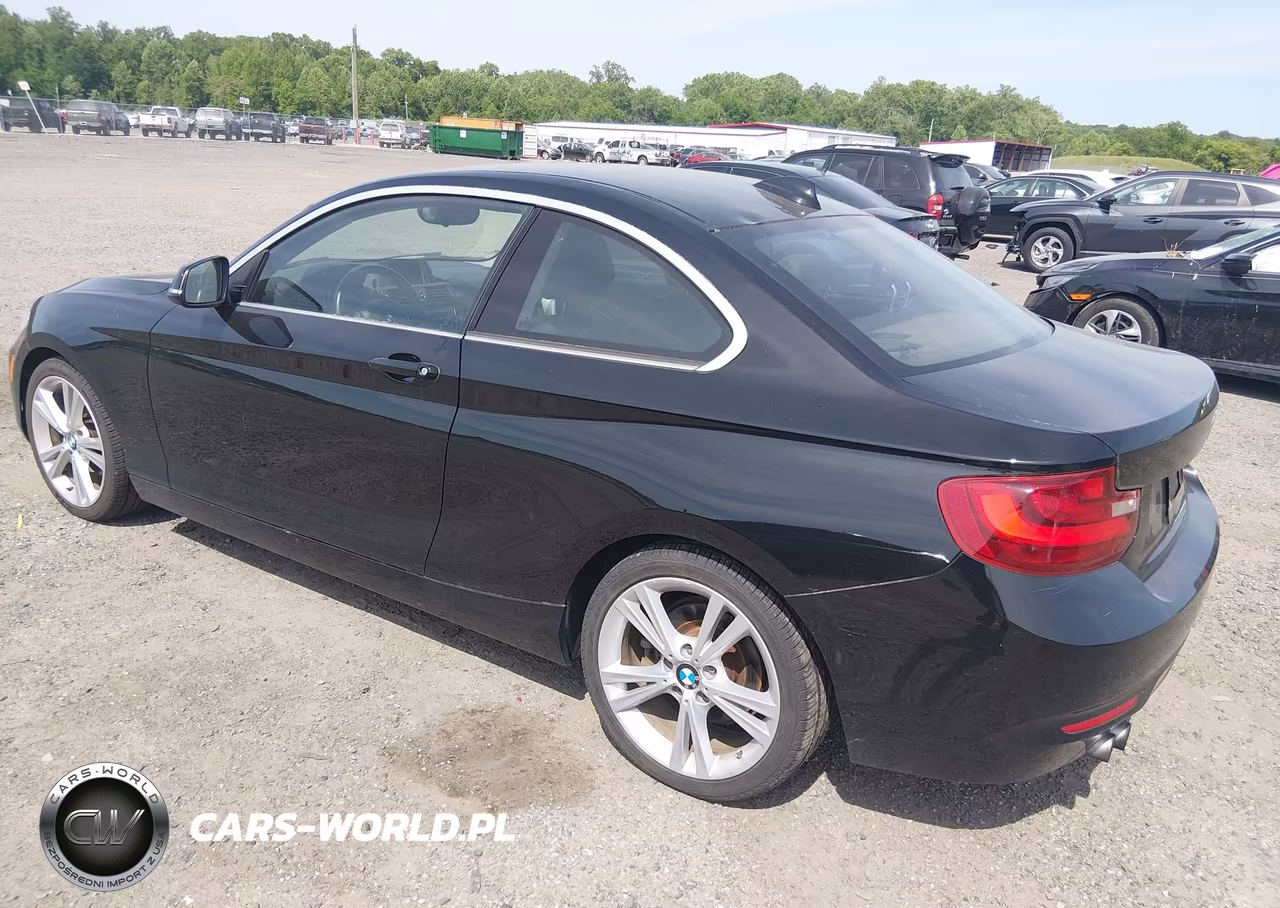 2015 BMW 228I VIN:WBA1F5C52FV257080 - 3