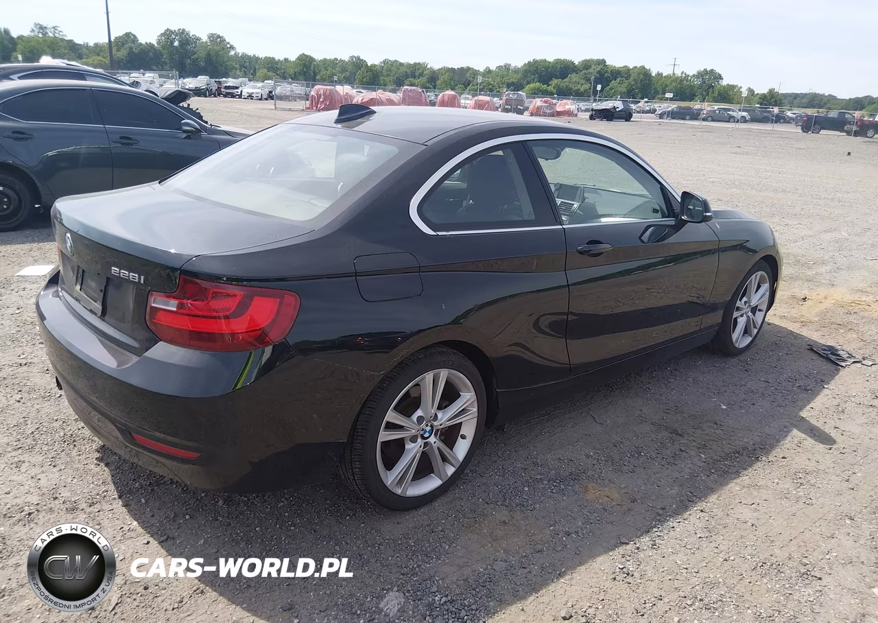 2015 BMW 228I VIN:WBA1F5C52FV257080 - 4