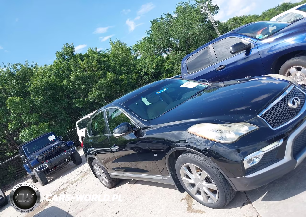 2016 Infiniti Qx50 VIN:JN1BJ0RP2GM235902 - 13