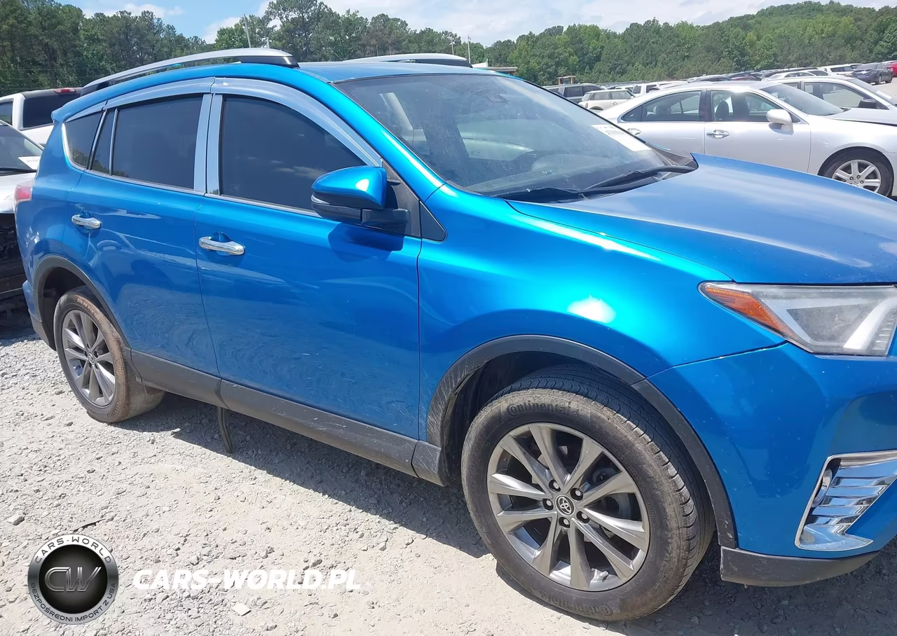2018 Toyota Rav4 Limited VIN:JTMYFREV1JJ205428 - 13