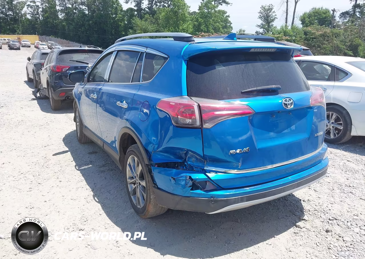 2018 Toyota Rav4 Limited VIN:JTMYFREV1JJ205428 - 3