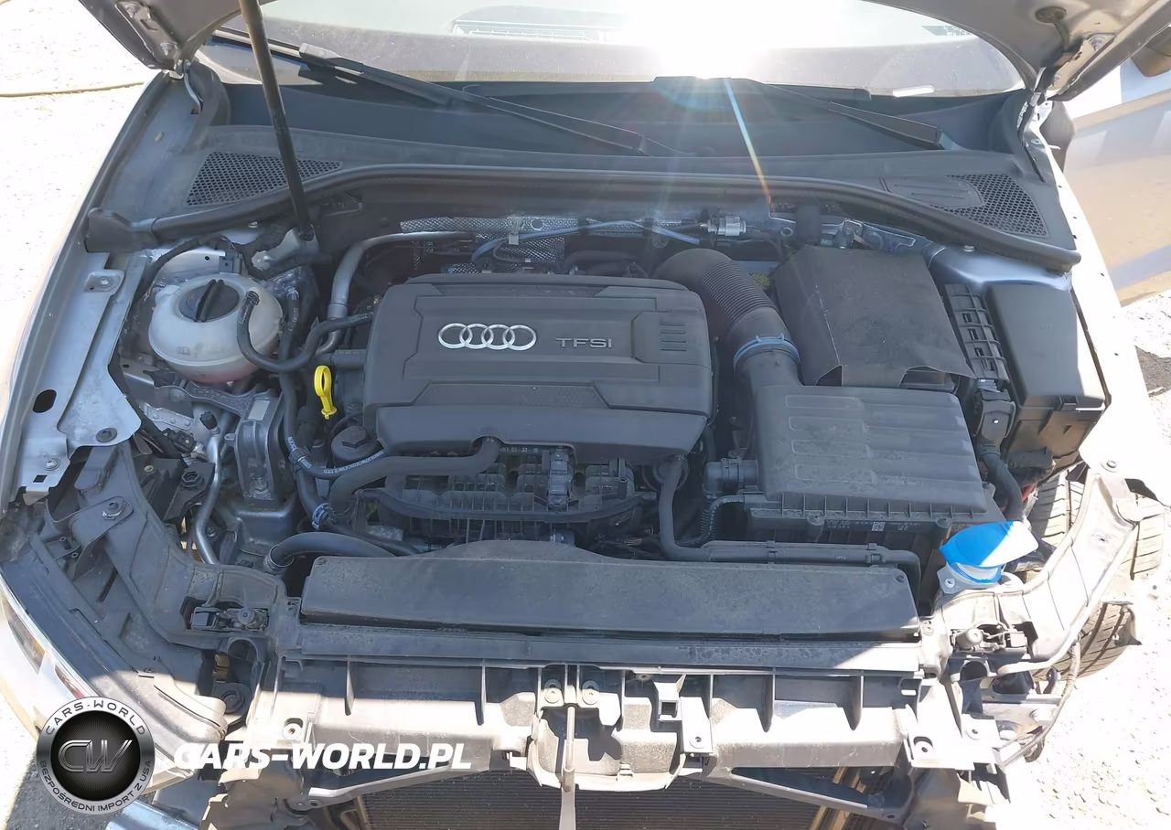 2017 Audi A3 Premium Plus VIN:WAUJ8GFFXH1015268 - 10