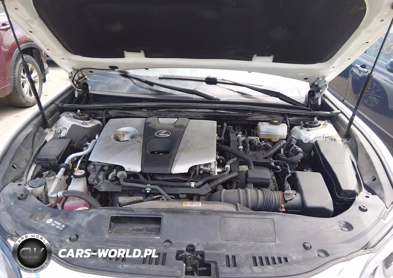 2020 Lexus Es 300H VIN:58AD21B11LU005846 - 10